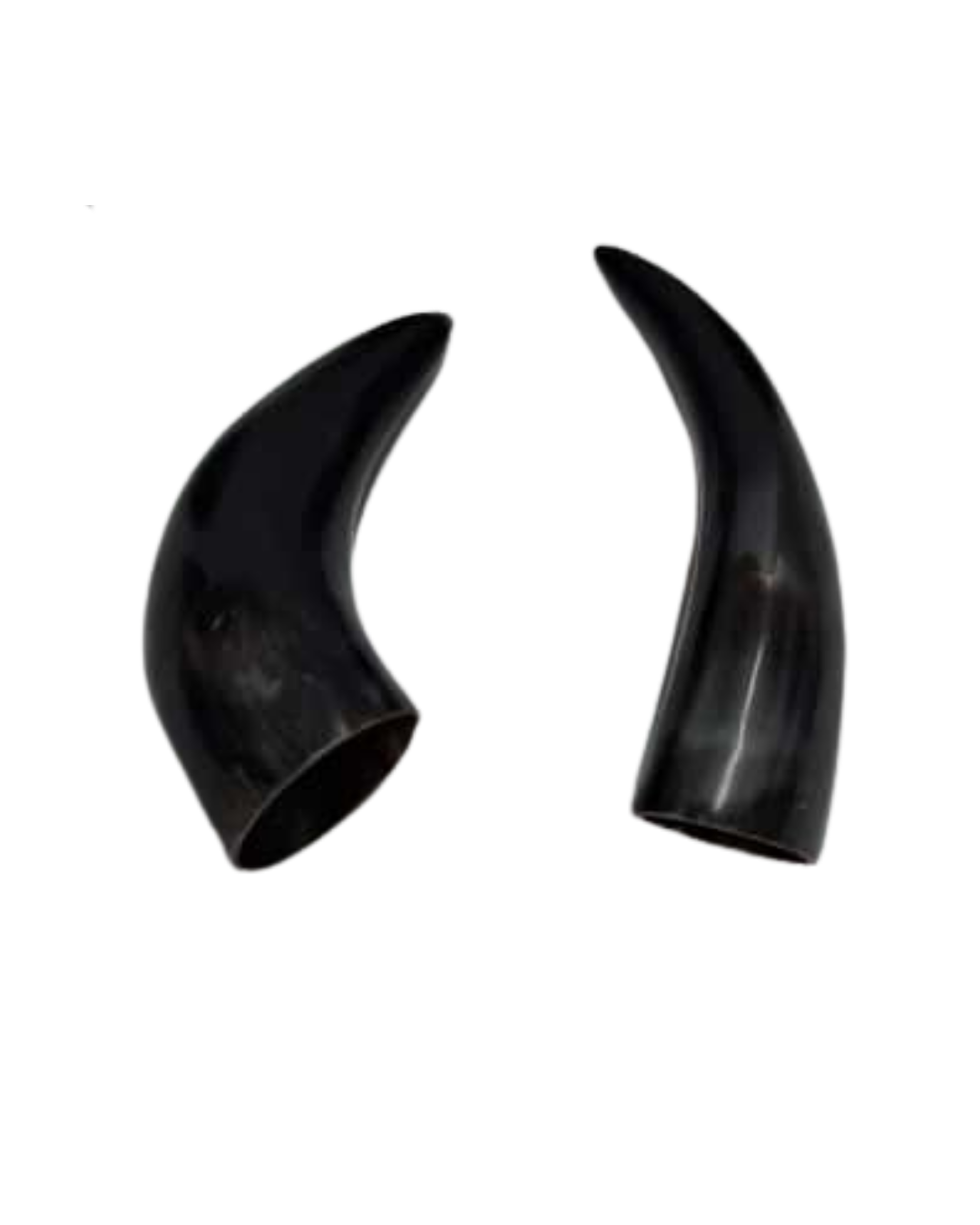 Natural Bull Horns – Strength, Power & Ritual Decoration