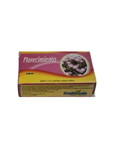 Florecimiento Soap – Growth, Luck & Personal Expansion