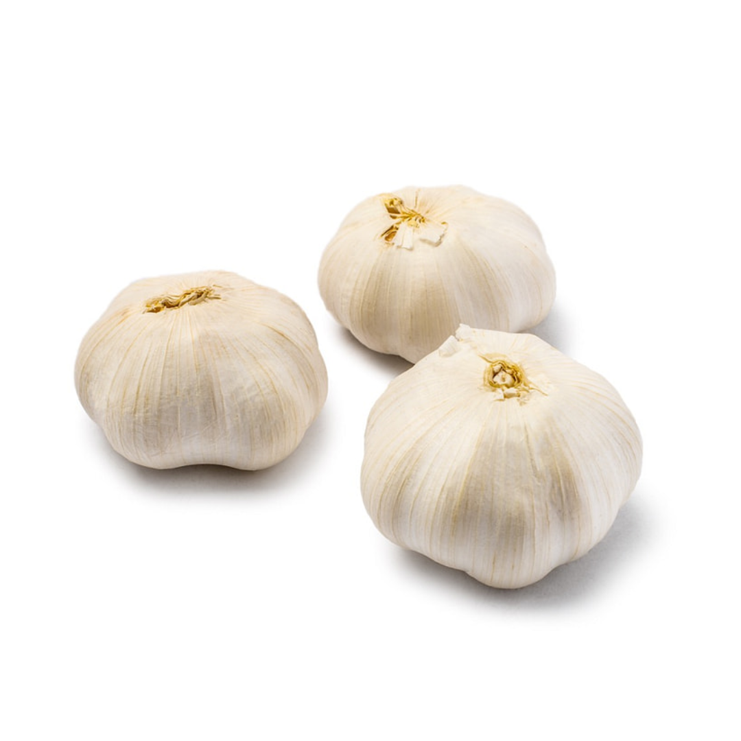 Authentic Ajo Macho Male Garlic | Protection & Good Luck Rituals