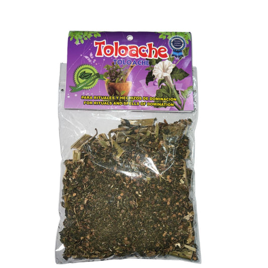 Toloache Herbal Bath for Rituals and Spell Dominance